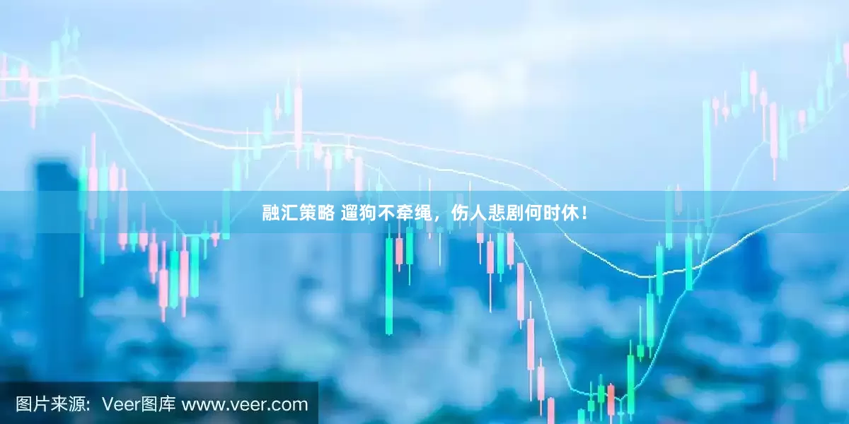 融汇策略 遛狗不牵绳，伤人悲剧何时休！
