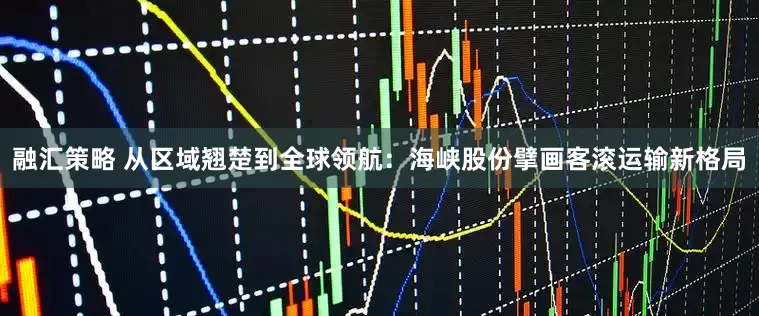 融汇策略 从区域翘楚到全球领航：海峡股份擘画客滚运输新格局