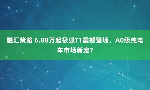 融汇策略 6.88万起极狐T1震撼登场，A0级纯电车市场新宠？